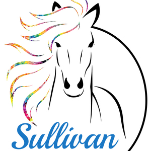 Team Page: Sullivan Middle School